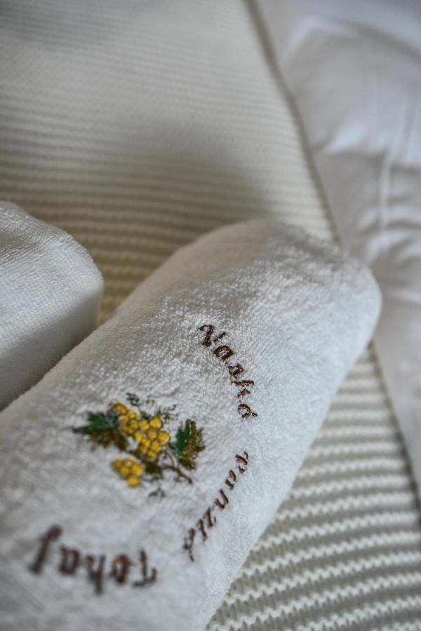 E-Vasko Panzio Borpince Bed & Breakfast Tokaj Eksteriør bilde