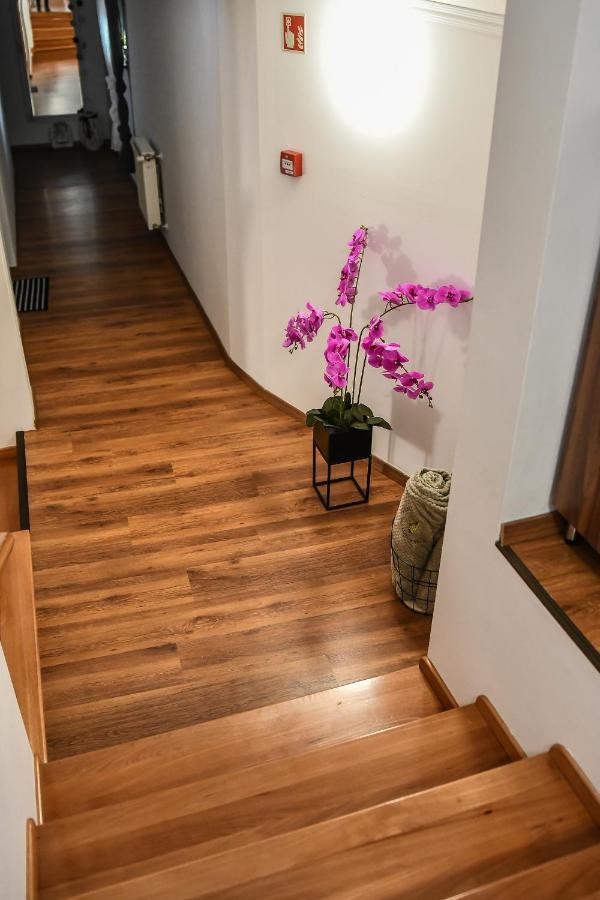 E-Vasko Panzio Borpince Bed & Breakfast Tokaj Eksteriør bilde