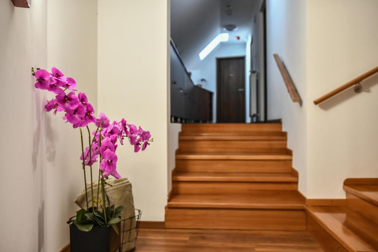E-Vasko Panzio Borpince Bed & Breakfast Tokaj Eksteriør bilde